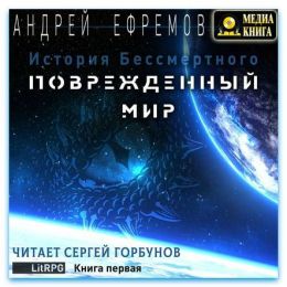 История Бессмертного. Книга 1. Поврежденный мир