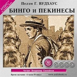 Бинго и пекинесы