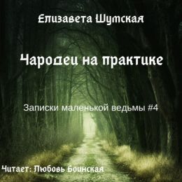 Чародеи на практике